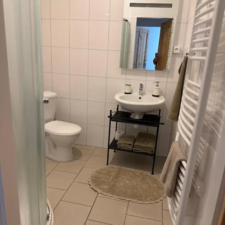 Πανσιόν Trilety Mlyn 3*